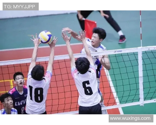 广州排球队的崛起与发展：探索排球运动的力量与魅力